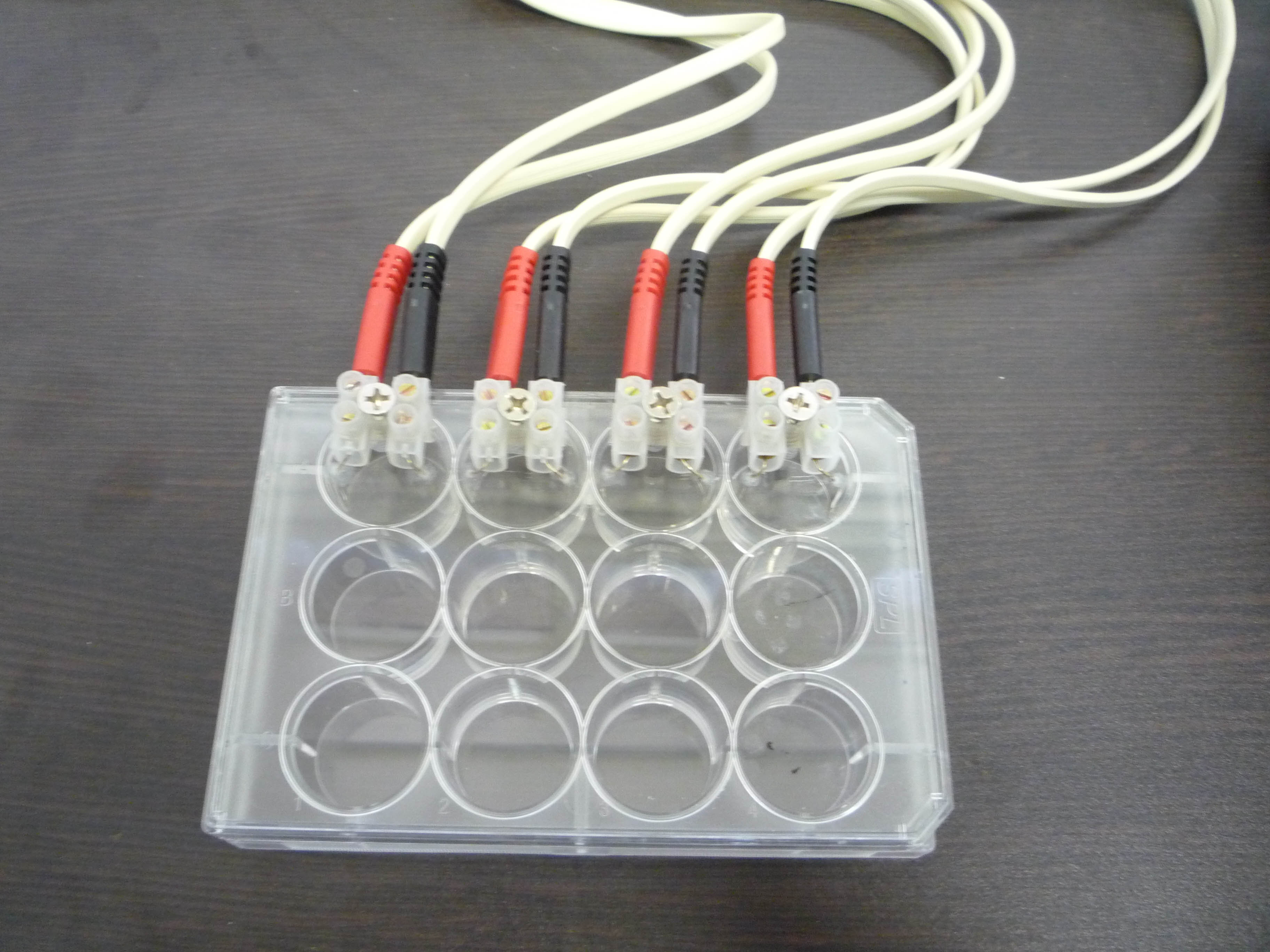 Sample_cell